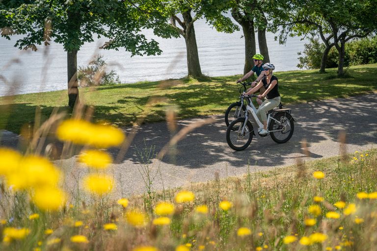 A couple rides bicycles through a Seattle park, with greenery and flowers enhancing the scene.