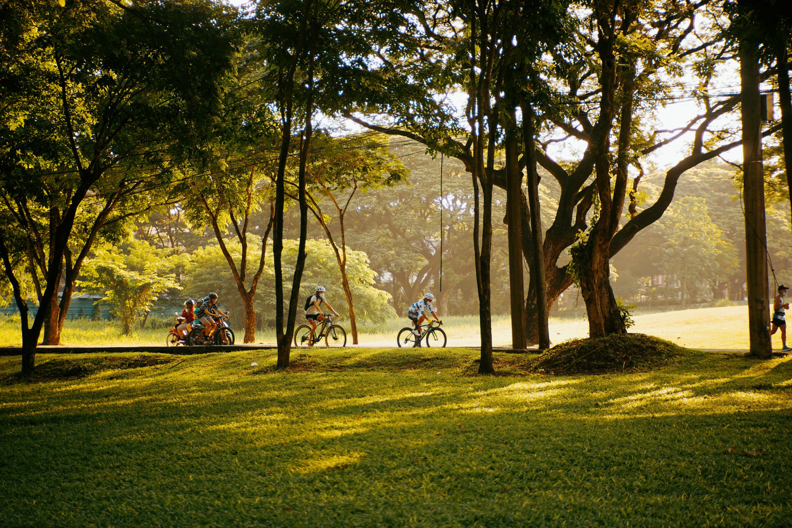 Cyclists ride through a lush, sunlit park. Perfect for outdoor recreation themes.