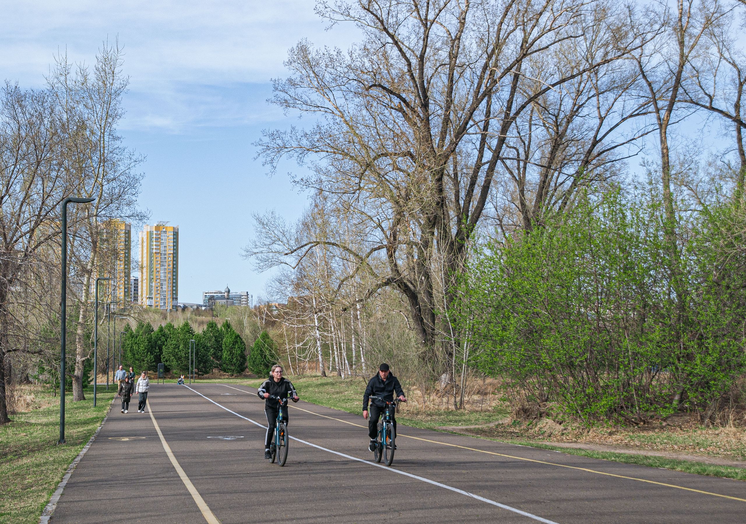 People biking on a sunny day in a city park with skyscrapers in the background.