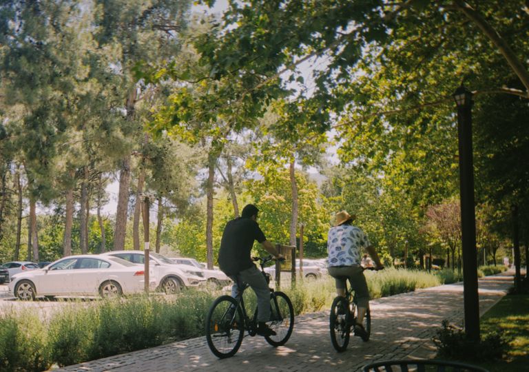 Two cyclists enjoying a leisurely ride on a sunny summer day amidst nature.