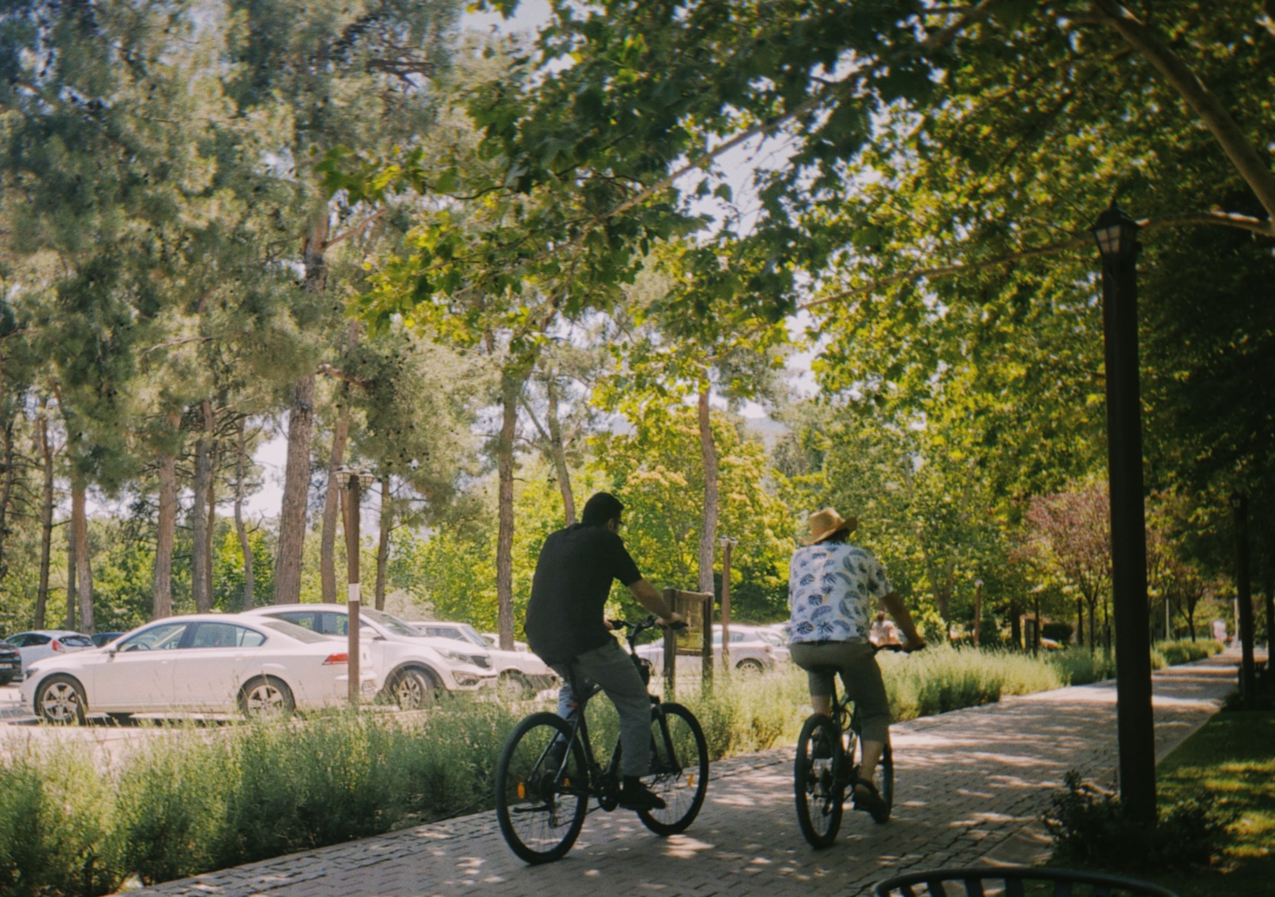 Two cyclists enjoying a leisurely ride on a sunny summer day amidst nature.
