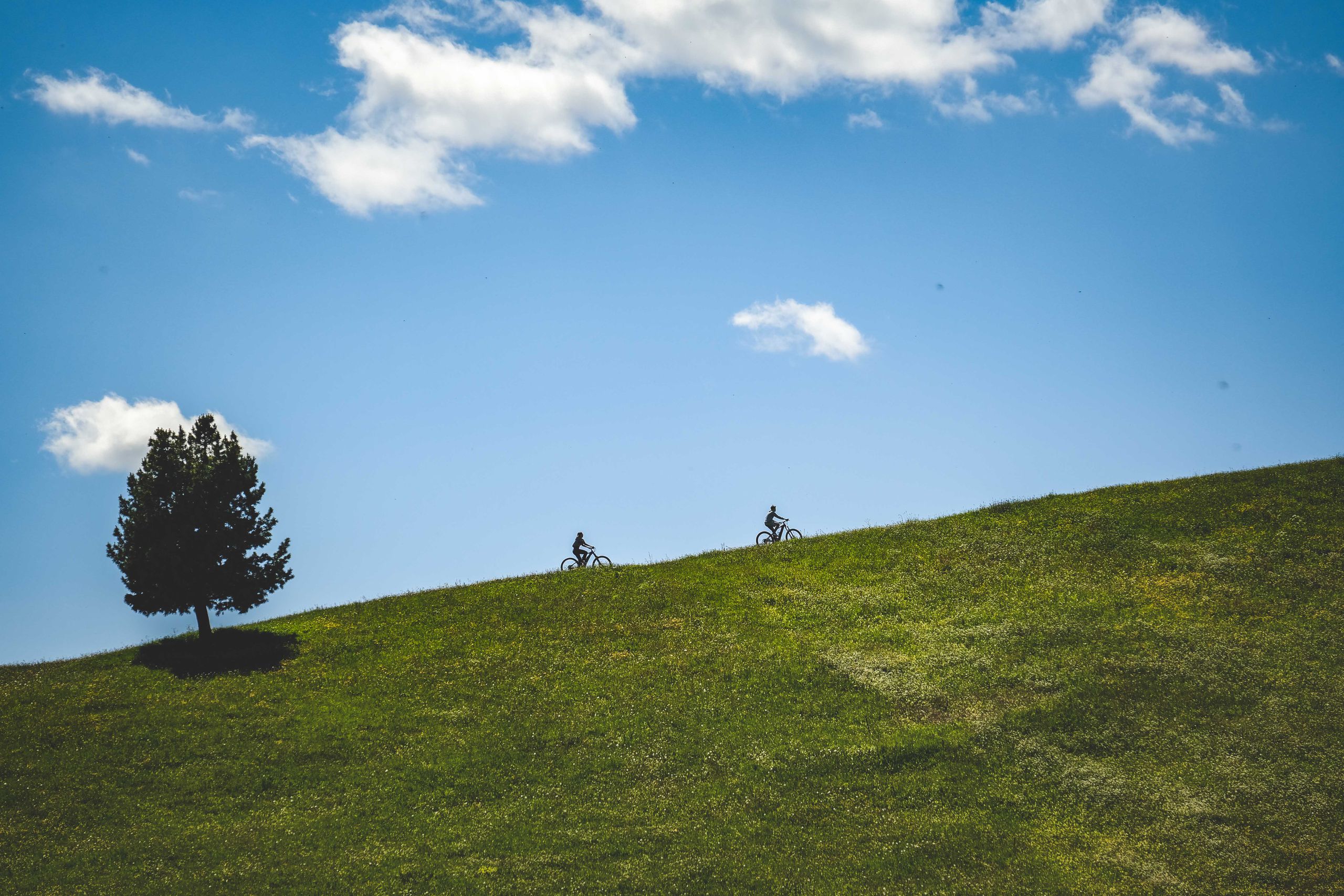 Two cyclists silhouette riding up a grassy hill under a clear blue sky with clouds.